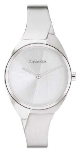 Calvin Klein 25200234 Women's Silver Dial Stainless Watch